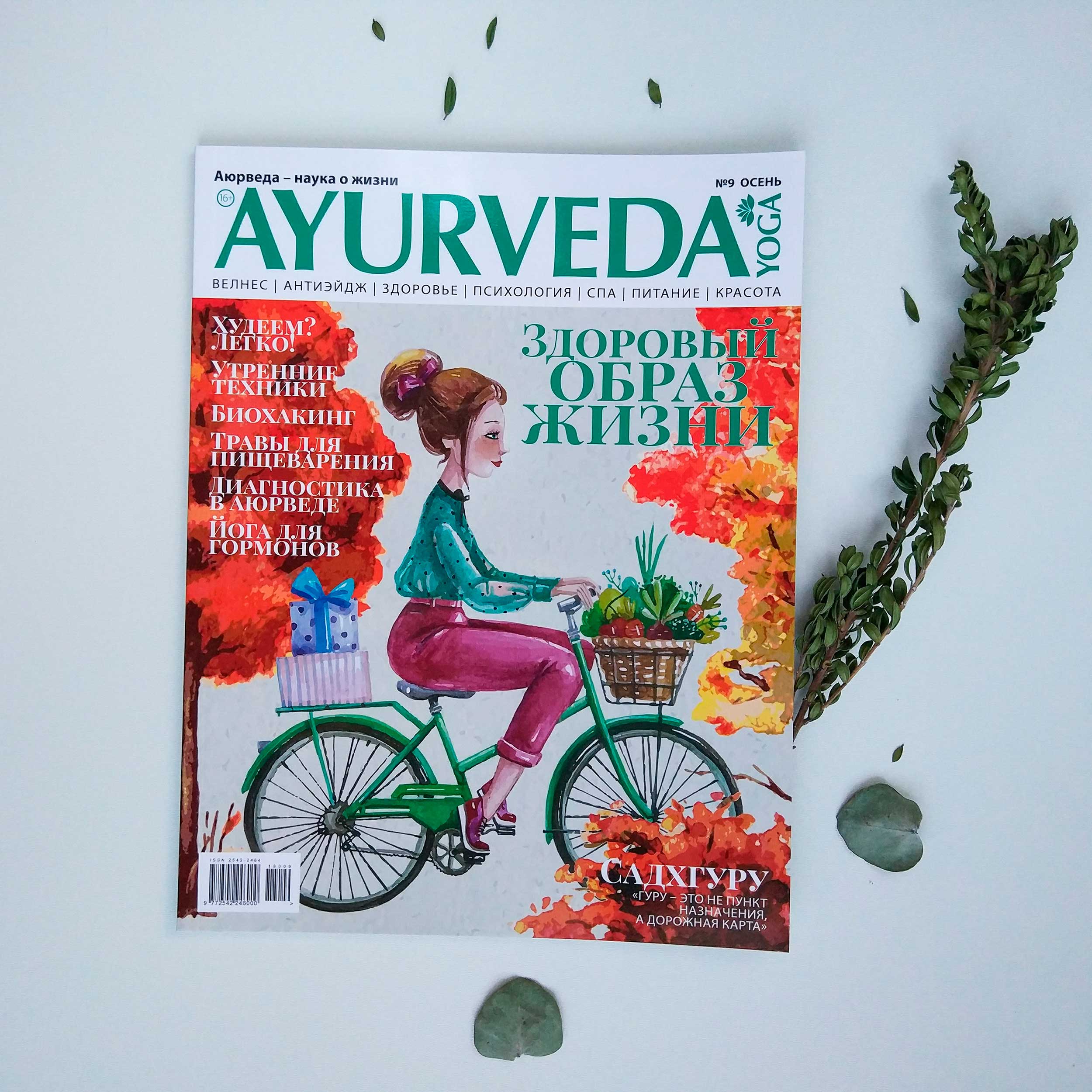 Журнал Ayurveda Аюрведа Yoga Box